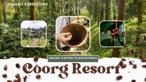 Scenic Trails Mysore Coorg Ooty