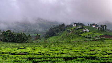 Ooty Tour Packages