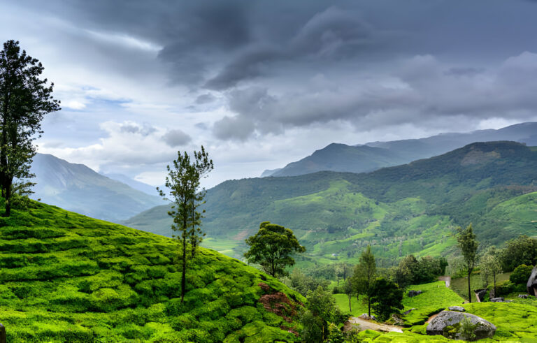 Wayanad tour package