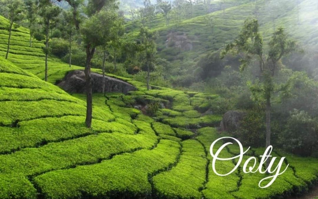 ooty tours