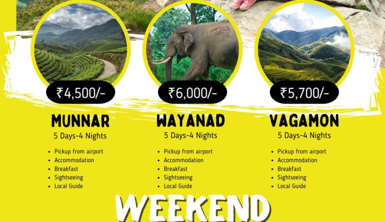 Tour packages Mysore Coorg ooty Kodaikanal