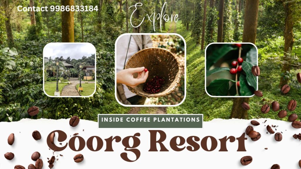 tour packages mysore coorg ooty kodaikanal