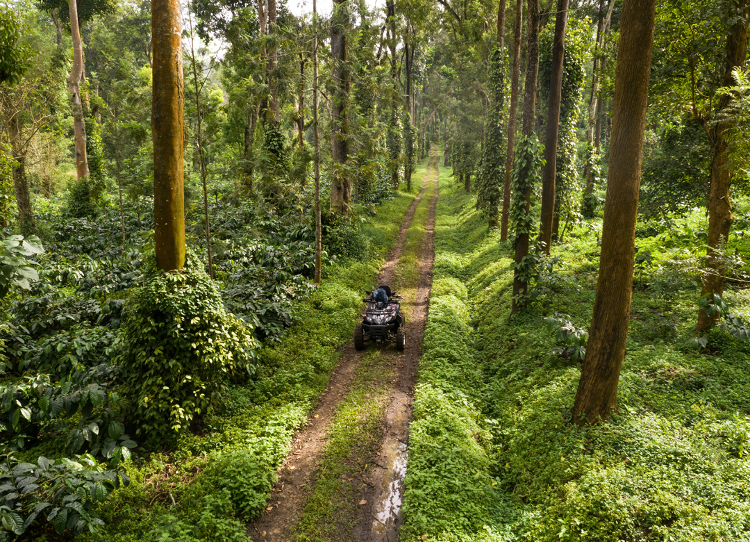 Coorg Tour Packages