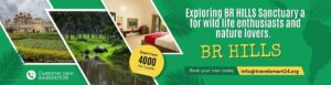 Mysore to Br Hills Tour packages