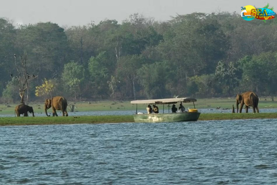 Tour Packages From Mysore