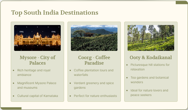best travel agency and car rentals in mysore