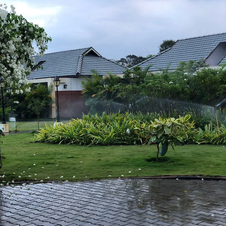 yellow bamboo resort