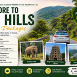 mysore to br hills packages